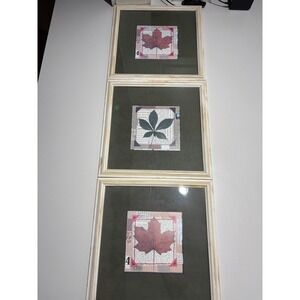 VTG Framed Leaf Wall Art Set of 3‎ Botanical Collage Prints Rustic Decor